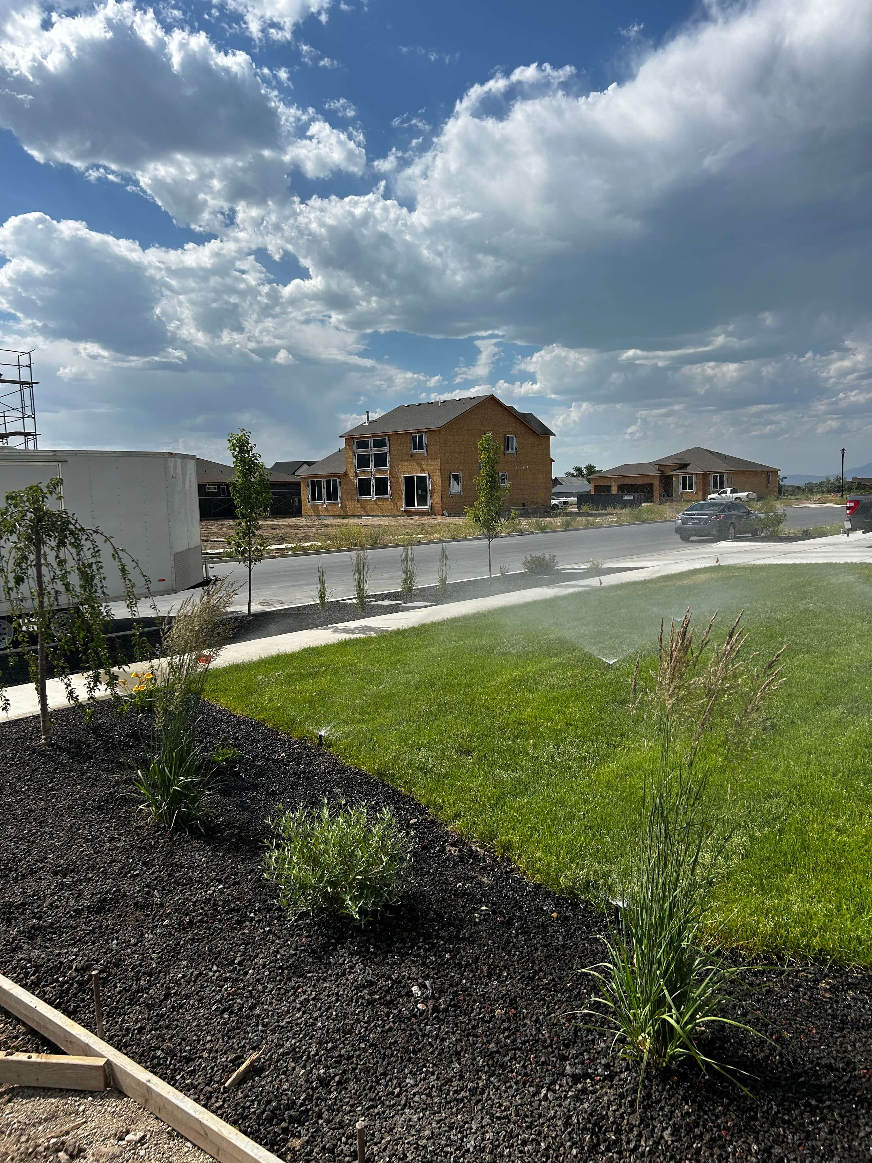 Professional landscape installation with quality craftsmanship and attention to detail